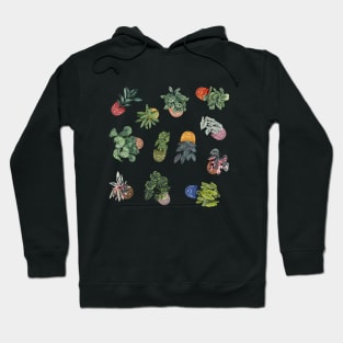 House Plants Illustration 1 Hoodie